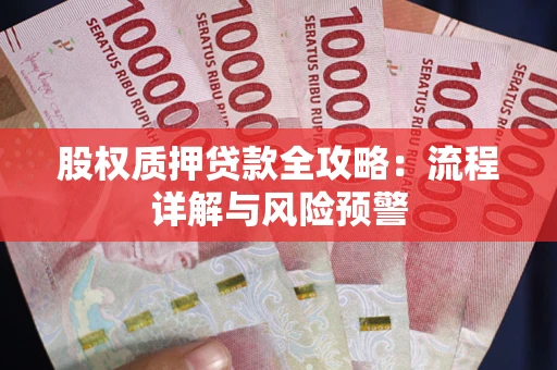 武汉股权质押贷款全攻略：流程详解与风险预警