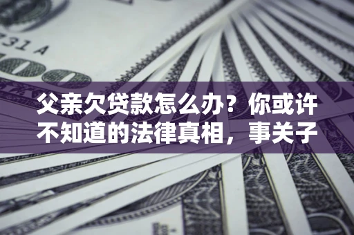 武汉父亲欠贷款怎么办？你或许不知道的法律真相，事关子女未来