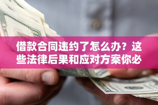 武汉借款合同违约了怎么办？这些法律后果和应对方案你必须知道