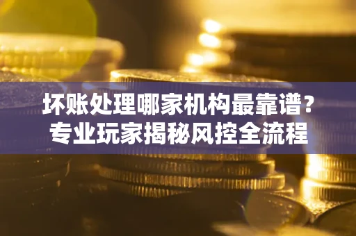 武汉坏账处理哪家机构最靠谱？专业玩家揭秘风控全流程