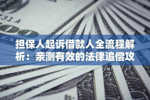 武汉担保人起诉借款人全流程解析：亲测有效的法律追偿攻略