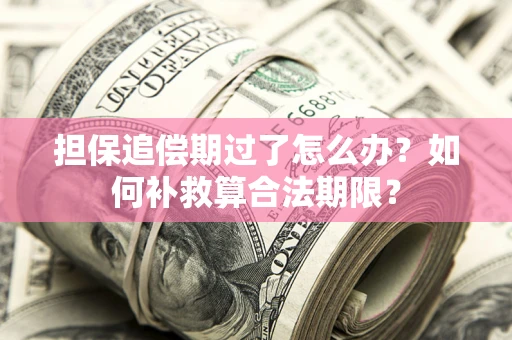 武汉担保追偿期过了怎么办？如何补救算合法期限？