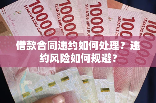 武汉借款合同违约如何处理？违约风险如何规避？