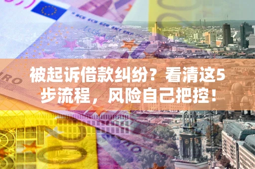 武汉被起诉借款纠纷？看清这5步流程，风险自己把控！