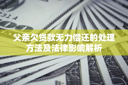 武汉父亲欠贷款无力偿还的处理方法及法律影响解析
