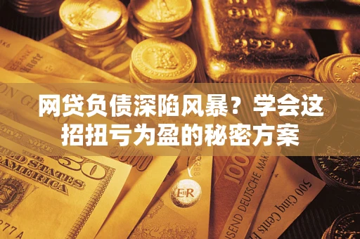 武汉网贷负债深陷风暴？学会这招扭亏为盈的秘密方案