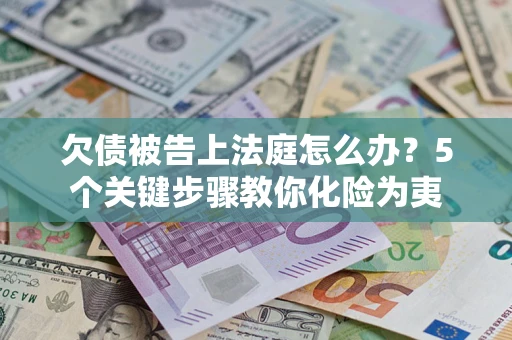 武汉欠债被告上法庭怎么办？5个关键步骤教你化险为夷